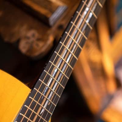 Cort LUXE II | Frank Gambale Signature Concert Acoustic Electric Guitar. New with Full Warranty! image 11