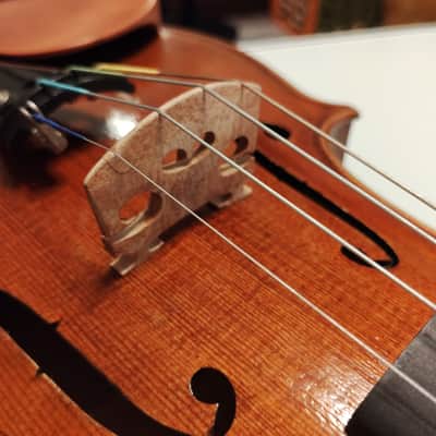 Alessandro Bertoli 4/4 Full size violin 2018 plus g Werner pernambuco bow and old case image 9