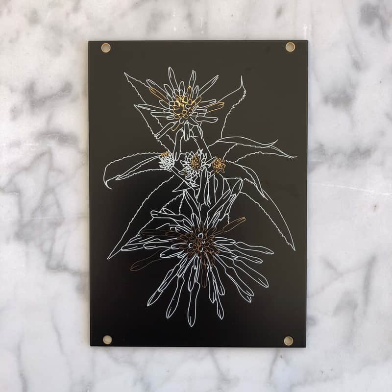 Materia - Aloe 18HP image 1