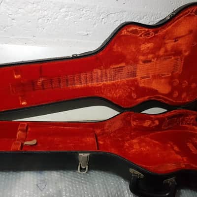1977 FENDER STARCASTER CASE USA image 14