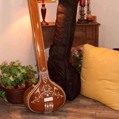 AB Satarmaker TMSP-ABS 58-Inch Professional Male 4-String Tanpura w/Gig Bag image 1