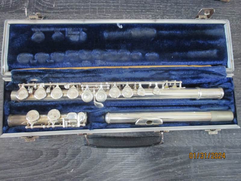 Borg brand Flute with case image 1
