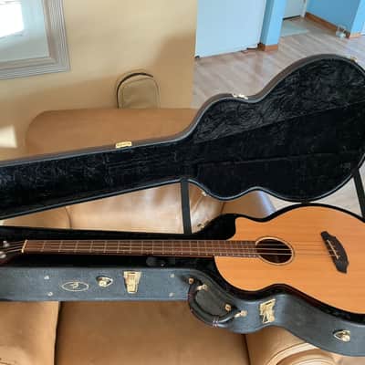 Used Breedlove ABJ250/SM4 Acoustic Bass Guitar image 1