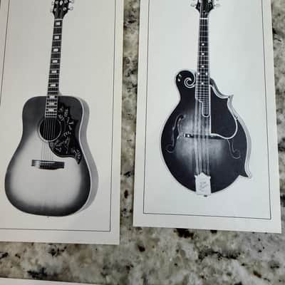 Gibson Pre Owners Manual Brochure 1981 dove hummingbird heritage Chet Atkins j-55 j-200 F-5L image 2