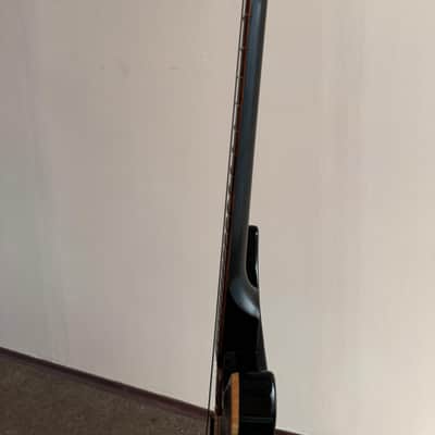 PRS P22 (Custom 22 Piezo Stoptail) 2012 image 12