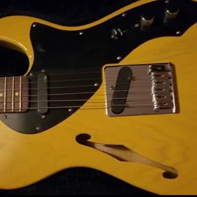 PRINCE Owned and Used Fender Thinline Telecaster with Paisley Park Document. image 18