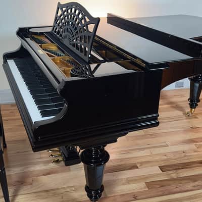 Immagine Bechstein V 1903 - Black Polish - 18