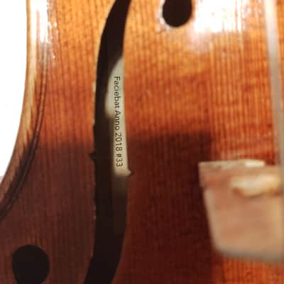 Alessandro Bertoli 4/4 Full size violin 2018 plus g Werner pernambuco bow and old case image 7