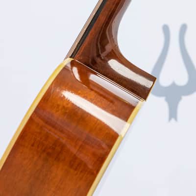 Daion YF-10 Acoustic Six String (built by Yamaki) image 13