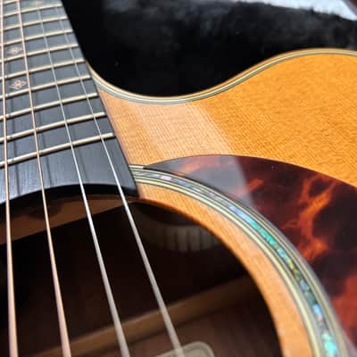 Takamine DMP700 MRC Spruce/Madagascar Rosewood 2008 Japan image 13