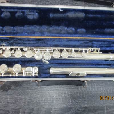 Borg brand Flute with case image 2