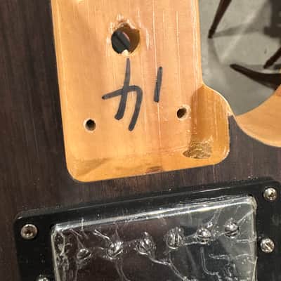 Loaded Tele Body -Dual Humbuckers! image 3