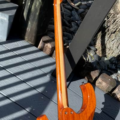 Citron AE-4 Swallow Bass 2009  - killer all around invention from Harvey Citron of Velette-Citron Basses. image 10