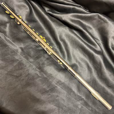 Eastman EFL-210 Flute image 4