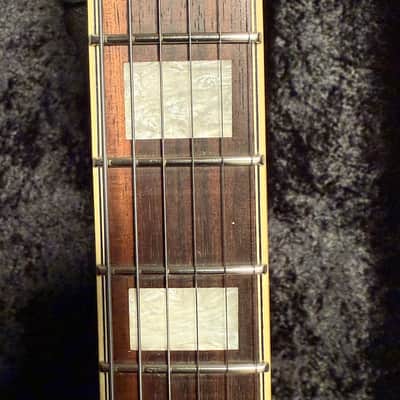 Immagine D'Angelico Premier DC Dark Iced Tea Burst With Free Gig Bag - 12