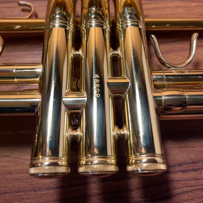 Kanstul 1000 Chicago ML in Gold Lacquer image 4
