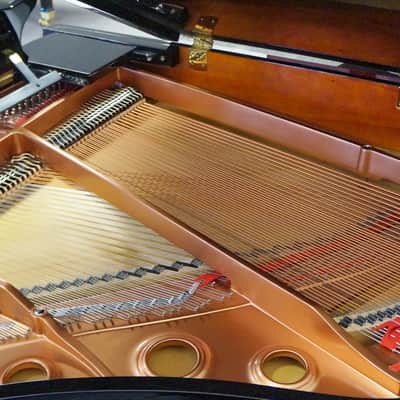 SCHIMMEL MAY BERLIN GRAND PIANO 5'4 BLACK POLISH image 5
