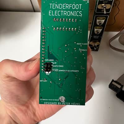 Tenderfoot Electronics Echo & Feed Eurorack Delay Modules image 4