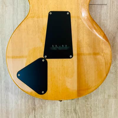 PRS Santana SE image 5
