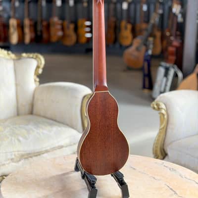 WASHBURN Rover RO10N Travel Guitar image 4