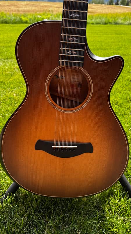 Taylor 956ce with ES2 Electronics