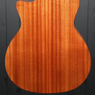 Taylor 314ce Studio Special Edition image 5