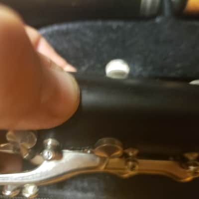 Buffet Crampon R13 Clarinet--Valentino Master's Overhaul, Vandoren B45, New Case! image 11