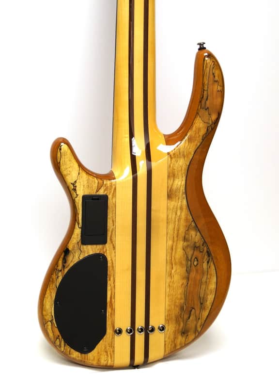 【投げ売り】Cort A5 投げ売り】Cort A5 Cort A5-Custom SP Spalted Maple 5-String