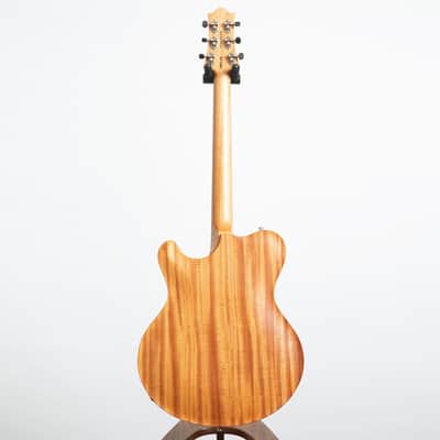 Nik Huber Rietbergen Standard Electric Guitar, Adam Miller Custom Signature image 4