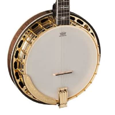 Washburn B17 Americana Series (5 String) Banjo 2020s - Tobacco Sunburst image 2
