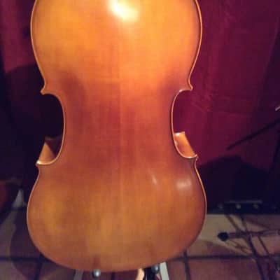 5 Strings Cello Electric 2014 Natural French violin finish image 5