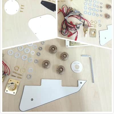 Haze  Electric Guitar DIY Kit,Solid Body w/Flame Maple Veneer E-238DIY SG image 8