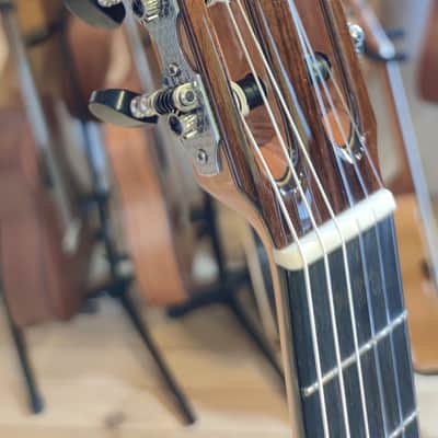 Cordoba Fusion Series Orchestra CE - Sunburst image 3