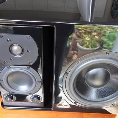 Trident Audio HG3 Monitors 2015 image 3