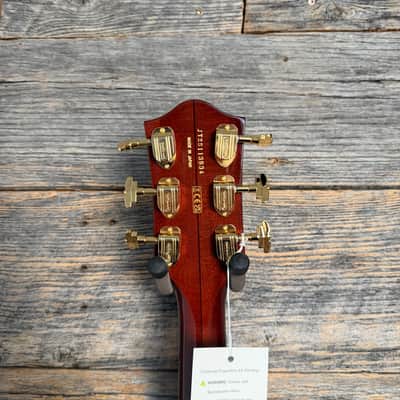 Gretsch G6122T-62 Vintage Select '62 Chet Atkins Country Gentleman - Walnut image 9