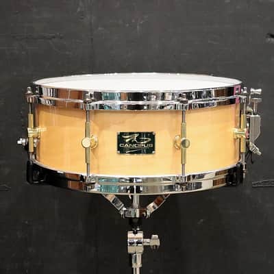 CANOPUS USED ​​M-1455 [The Maple Snare Drum 14''×5.5'' - Natural LQ] image 1