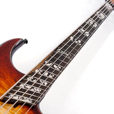 DINGWALL Z3 Cello Hip 5st w/ Burl Maple Top, Roasted Ash Neck, Ziricote Fingerboard/ 2022 NAMM Model image 8