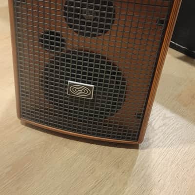 $1000 Schertler Jam 100 Wood Amplifier for Acoustic Guitar image 2