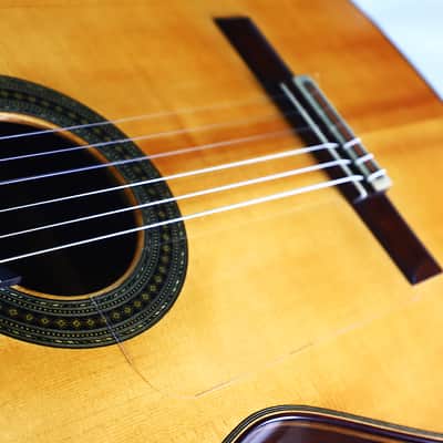 Manuel Ordono 2023 Flamenco Guitar - remarkable instrument with great power and depth - check video! image 14