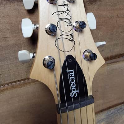 PRS Swamp Ash Special Maple - Jasper Smokeburst image 8