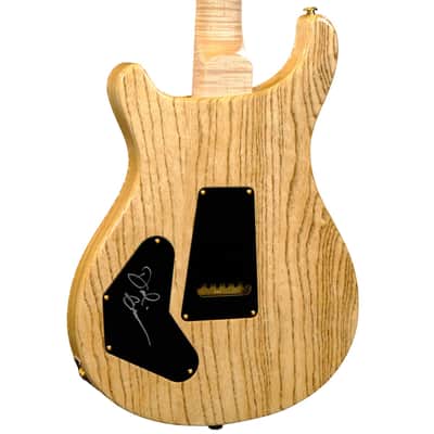 PRS Wood Library DGT Electric Guitar with Bird Inlays - Copperhead with Natural Back image 6