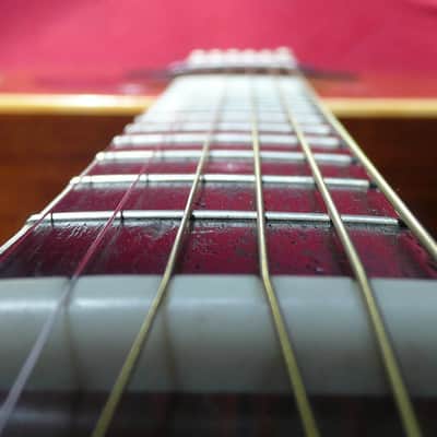 Tokai Cat's Eyes CE500 1979 Natural Japan Vintage D28 Copy image 19