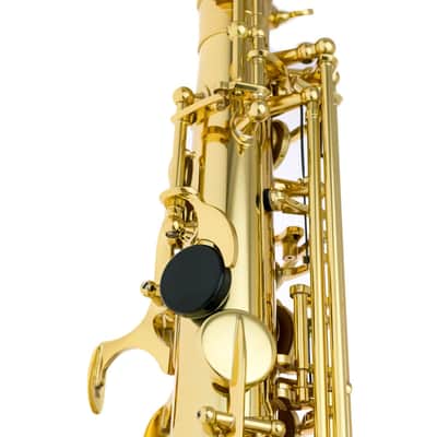 Selmer Alto Sax - Serie II in Gold Lacquer w/Engr image 8