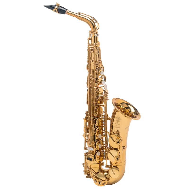 Selmer Paris 82SIG Signature Eb Alto Saxophone image 1