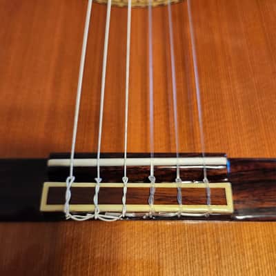 Dauphin DS35 1993 - Made in Spain - Excellent! Molded Hard Case Natural image 6