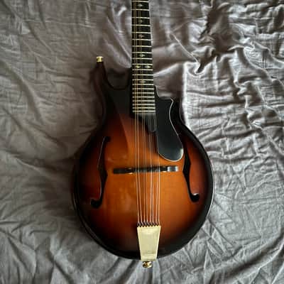 Rigel CT-110 image 2