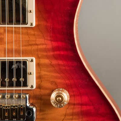Baldacci Bighorn Solidbody 24-Fret 2020, Sunburst image 8