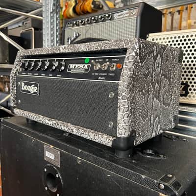 Mesa Boogie   Mark 1 Coversion Custom Order Snake Skin image 3