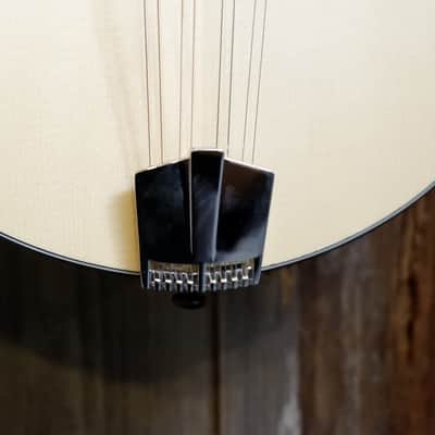Eastman PCH M-104-NAT A-Style Mandolin - Natural image 9