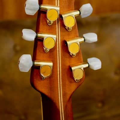 Ovation  Al DiMeola image 11